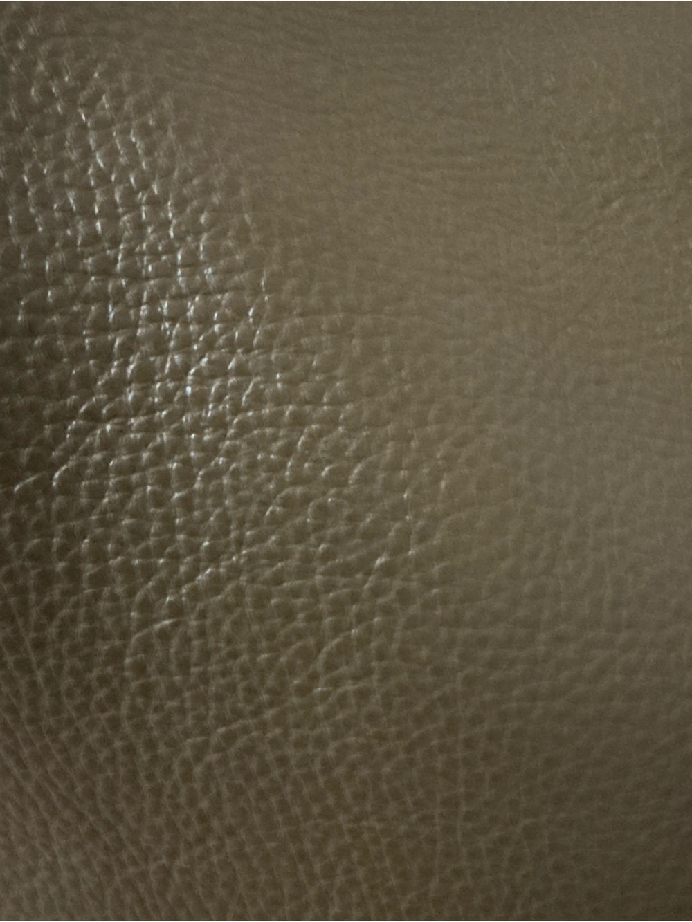 Coach Olive Green Pebbled Leather Crossbody with Gold Logo - Picture 4 of 11